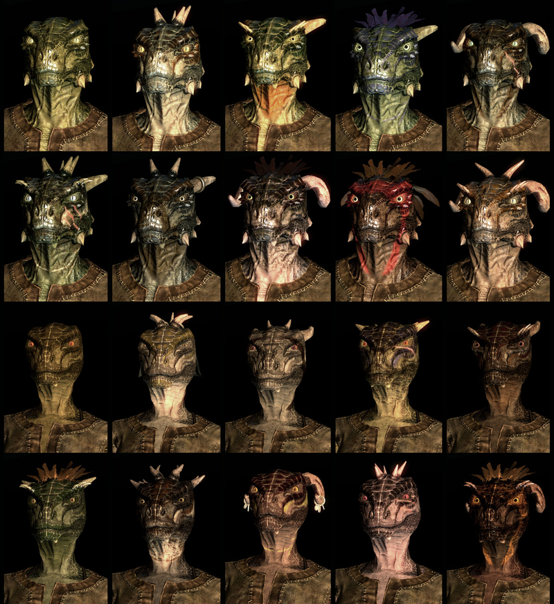 Illustration for article titled Twenty Different Faces For Each of Skyrim's Races